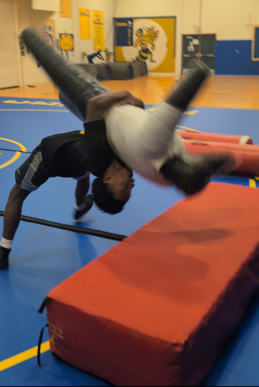 Wrestlers training on the mat